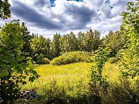 PRODEJ STAVEBNÍ PARCELY NA BYDLENÍ, PŘEDNÍ VÝTOŇ - 25-08-22 Přední Výtoň Pozemek Foto_11.jpg