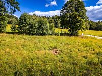 PRODEJ STAVEBNÍ PARCELY NA BYDLENÍ, PŘEDNÍ VÝTOŇ - 25-08-22 Přední Výtoň Pozemek Foto_32.jpg