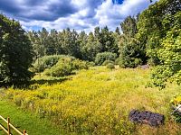 PRODEJ STAVEBNÍ PARCELY NA BYDLENÍ, PŘEDNÍ VÝTOŇ - 25-08-22 Přední Výtoň Pozemek Foto_46.jpg