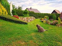 PRODEJ REKREAČNÍHO OBJEKTU, HŮRKA, HORNÍ PLANÁ, LIPNO - 20_Hurka.jpg