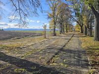 PRODEJ STAVEBNÍ PARCELY, HŮRY U ČESKÝCH BUDĚJOVIC - WhatsApp Image 2025-10-30 at 13.00.53.jpeg