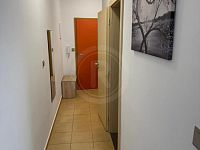 PRONÁJEM BYTU 1+KK, NÁMĚSTÍ ŠIMONA LOMNICKÉHO, ŠEVĚTÍN - WhatsApp Image 2025-04-10 at 08.56.45 (5).jpeg