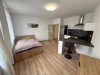 PRONÁJEM BYTU 1+KK, NÁMĚSTÍ ŠIMONA LOMNICKÉHO, ŠEVĚTÍN - WhatsApp Image 2025-04-10 at 08.56.45 (8).jpeg