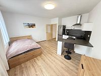 PRONÁJEM BYTU 1+KK, NÁMĚSTÍ ŠIMONA LOMNICKÉHO, ŠEVĚTÍN - WhatsApp Image 2025-04-10 at 08.56.46 (15).jpeg