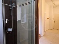 PRONÁJEM BYTU 2+1, ČECHOVA, ČESKÉ BUDĚJOVICE - 20251201_101729.jpg