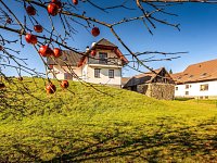 PRODEJ CHALUPY, STARÉ HUTĚ U HORNÍ STROPNICE - 25-11-07 Staré Hutě 59 RD Foto_78.jpg