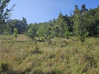 PRODEJ POZEMKU - ZAHRADY, VČELNÁ U ČESKÝCH BUDĚJOVIC - WhatsApp Image 2024-08-29 at 12.09.51 (1).jpeg