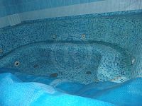 PRODEJ APARTMÁNOVÉHO DOMU "OBECNÁ ŠKOLA", SVĚTLÍK OKR. ČESKÝ KRUMLOV - P9181595.JPG