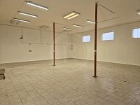 PRONÁJEM HALY/SERVISU, BORŠOV NAD VLTAVOU