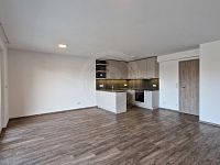 PRONÁJEM NOVÉHO BYTU 2+KK SE ZAHRADOU, PLATANOVÁ, ČB