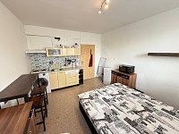 PRONÁJEM BYTU 1+KK, STAROMĚSTSKÁ, ČESKÉ BUDĚJOVICE - WhatsApp Image 2025-03-11 at 12.49.17 (4).jpeg