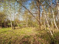 PRODEJ STAVEBNÍHO POZEMKU, KE STUDÁNCE, NOVÉ HODĚJOVICE, ČB - 26-04-17 Hodějovice Pozemek Foto_30.jpg