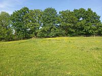 PRODEJ STAVEBNÍ PARCELY 1.251 M2, RUDOLFOV U ČESKÝCH BUDĚJOVIC - WhatsApp Image 2023-05-23 at 07.38.59 (1).jpeg