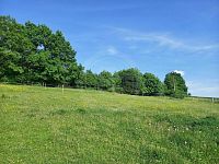 PRODEJ STAVEBNÍ PARCELY 1.251 M2, RUDOLFOV U ČESKÝCH BUDĚJOVIC - WhatsApp Image 2023-05-23 at 07.38.59.jpeg