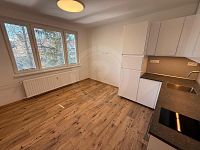 PRONÁJEM ZREKONSTRUOVANÉHO BYTU 1+KK, PEKÁRENSKÁ, ČB