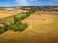 PRODEJ STAVEBNÍHO POZEMKU 3.663 M2, PRŮBĚŽNÁ, HŮRY - 26-08-11 Hůry Pozemek Foto_62.jpg