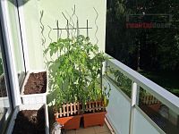 Prodej bytu v OV 2+1 s lodžií, šatnou a sklepem ul. Jakuba Obrovského Brno-Bystrc - balkon 2.jpg