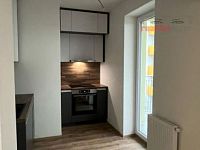 Pronájem novostavby bytu 1+kk 39 m², Křepelčí, Brno - Žebětín