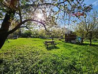 Pronájem oplocené zahrady s chatou, 941 m2, veškeré IS, udírna, k.ú. Bohunice - 20250423_170538_resized.jpg