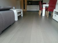 Říčky v O.h. - byt 49m2 + terasa 6 m2, kompletně vybavený, možnost koupě parkovacího místa - Dýhová podlaha