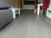 Říčky v O.h. - vybavený apartmán (byt) Orlické hory, 49m2 + terasa 6 m2 - Dýhová podlaha