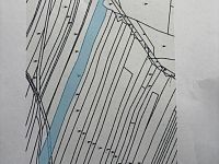 Prodej lesa u Černovic - Fotka 5