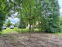 Prodej pozemku v obci Kostěnice - IMG_0800.jpeg