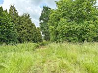 Prodej pozemku v obci Kostěnice - IMG_0806.jpeg