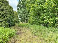 Prodej pozemku v obci Kostěnice - IMG_0807.jpeg