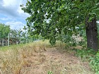 Prodej pozemku v obci Kostěnice - IMG_0810.jpeg