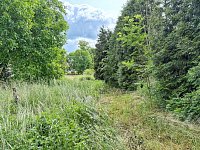 Prodej pozemku v obci Kostěnice - IMG_0811.jpeg