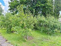 Prodej bytu 2+1 s garáží v Chocni, v ulici Stromovka - IMG_1444.jpeg