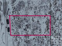 Prodej stavebního pozemku 817 m2 v obci Rožďalovice - dji_fly_20260115_102650_0636_1768470246260_photo.jpg