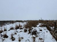 Prodej stavebního pozemku 817 m2 v obci Rožďalovice - IMG_3844.jpeg