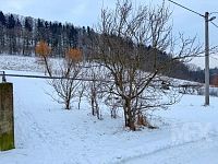 Prodej krásného pozemku v obci Kyje u Jičína - IMG_4038.jpeg