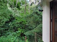 Prodej domu chaty 74m² Davle Praha-západ - IMG-20250530-WA0019.jpg