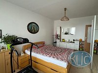 Pronájem bytu 2+1 s balkonem, Tábor - Blanické předměstí - IMG_4412.jpg