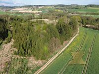 Prodej lesního pozemku - 1.JPG