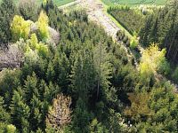 Prodej lesního pozemku - 11.JPG