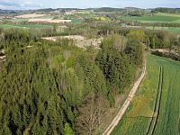 Prodej lesního pozemku - 2.JPG