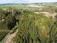 Prodej lesního pozemku - 4.JPG