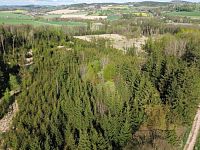 Prodej lesního pozemku - 5.JPG