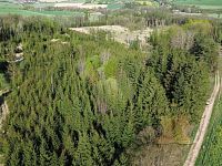 Prodej lesního pozemku - 6.JPG