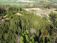 Prodej lesního pozemku - 7.JPG