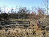 Prodej zemědělského areálu - 10.JPG