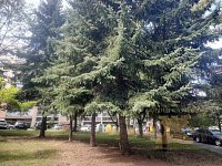 Byt 2+kk, 44 m2 - Vlašim - 17.jpg