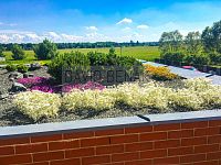 Prodej rodinného domu 5+kk s udržovanou zahradou, bazénem, garáží a pergolou, 855 m2, Hradec Králové - 17-3.jpg