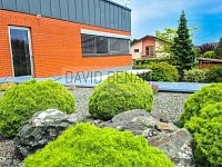 Prodej rodinného domu 5+kk s udržovanou zahradou, bazénem, garáží a pergolou, 855 m2, Hradec Králové - 5 (1).jpg