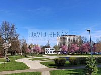 Pronájem bytu 3+1, 85 m2 s lodžií, Jungmannova ul., Pražské Předměstí, Hradec Králové. - 16.jpg