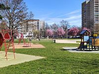 Pronájem bytu 3+1, 85 m2 s lodžií, Jungmannova ul., Pražské Předměstí, Hradec Králové. - 22.jpg